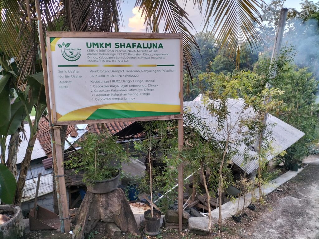 syfaluna atsiri Bantul